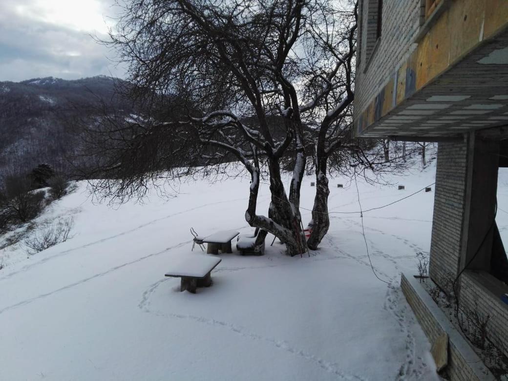 Bujtina E Tomorrit Hotel Ujanik Exterior photo